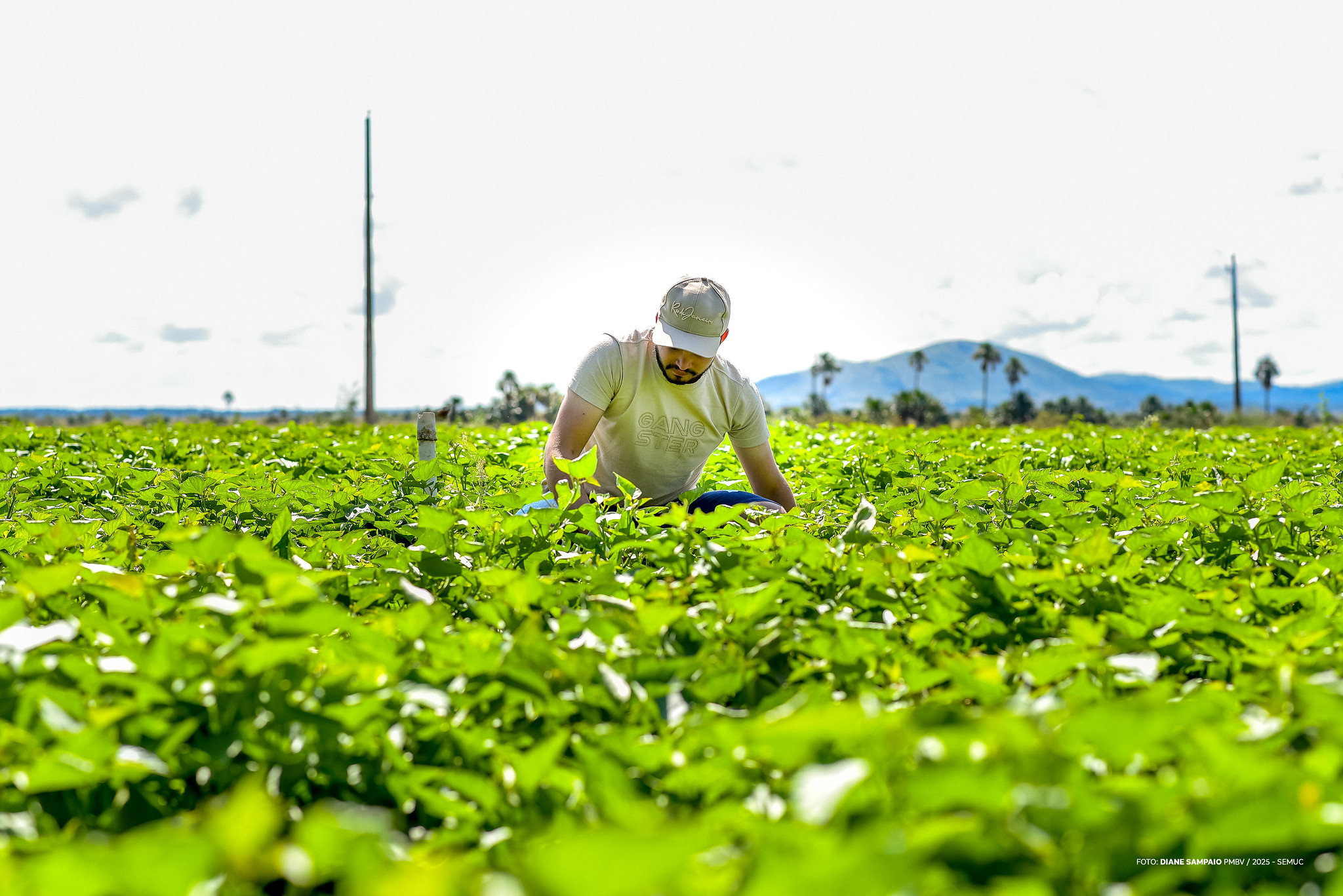 jovens fortalecem sucessão e inovação na agricultura familiar 4 1760198169 769 jovens fortalecem sucessao e inovacao na agricultura familiar