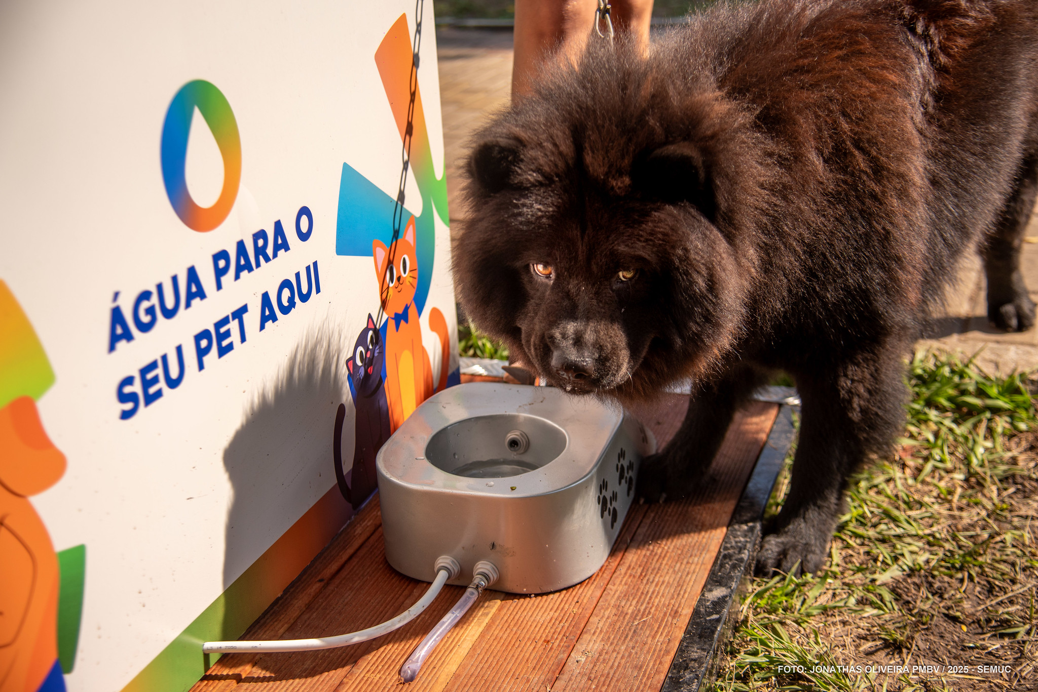 boa vista instala cabines de hidratação para pessoas e animais 4 1760458766 615 boa vista instala cabines de hidratacao para pessoas e animais