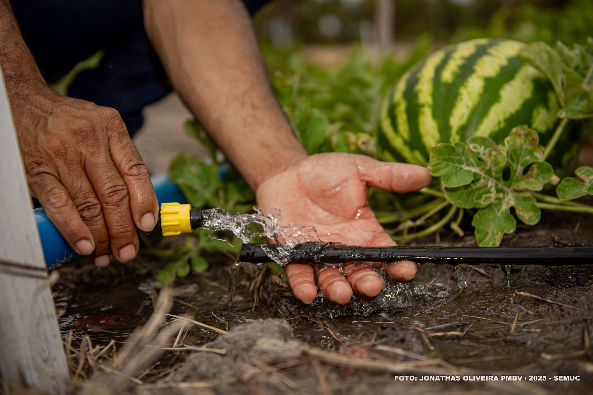 1761796552 161 Prefeitura abre edital para irrigacao fotovoltaica a agricultores familiares