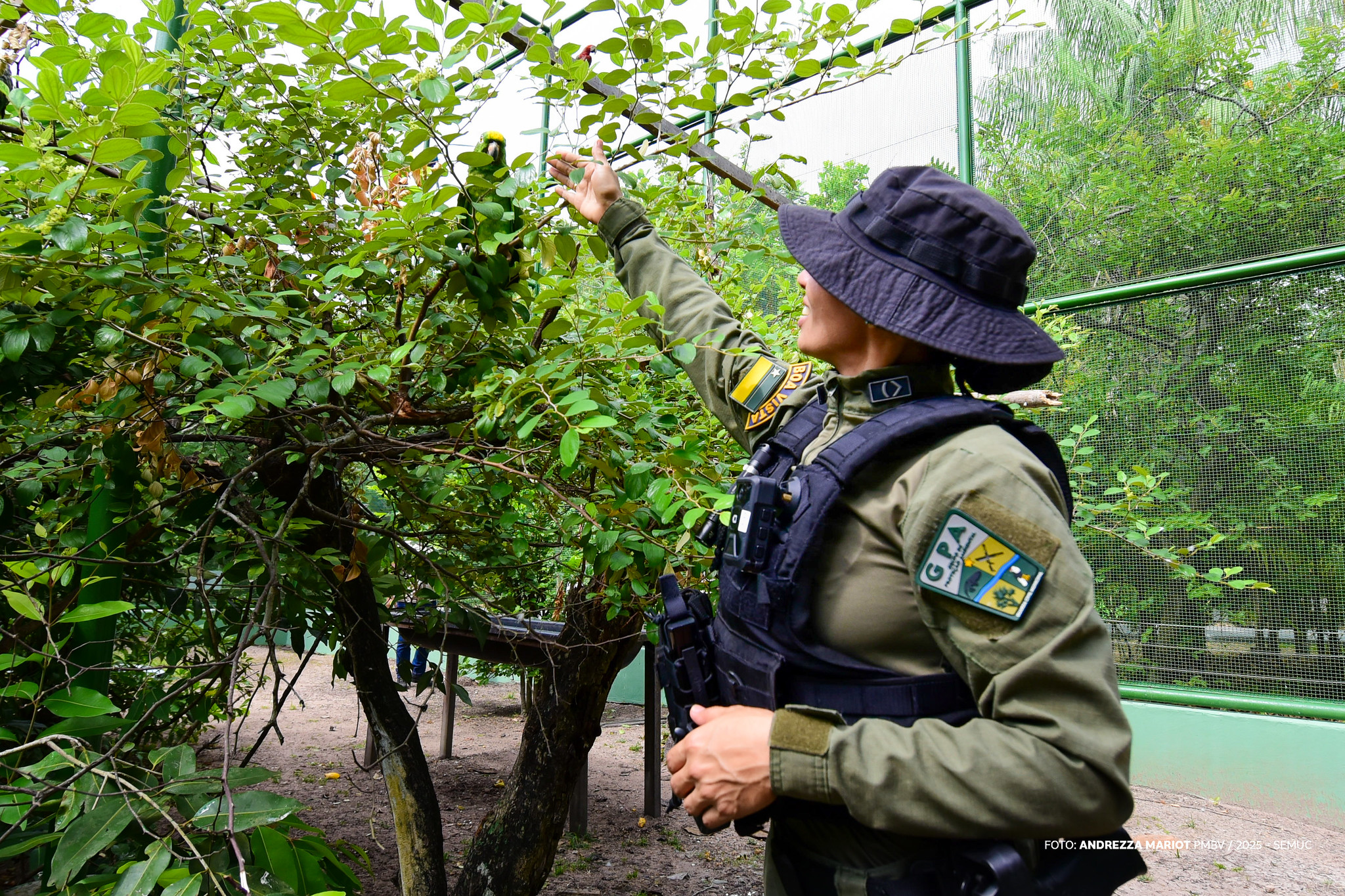 1762804536 293 Preservar recursos naturais e prioridade do GPA de Boa Vista
