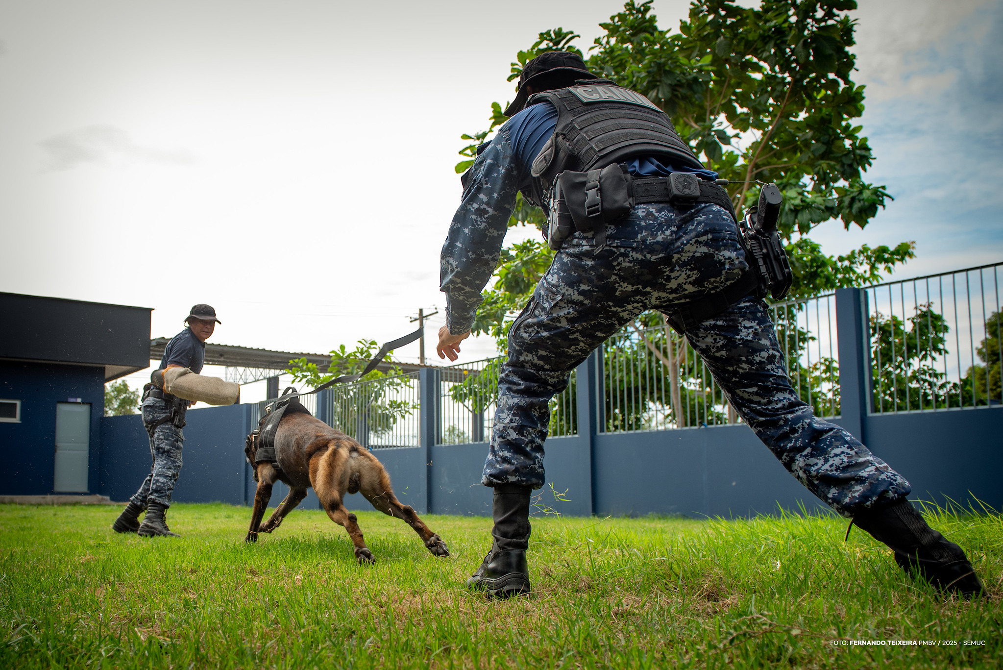 1763279761 847 Quatro guardas municipais concluem estagio para condutores de caes