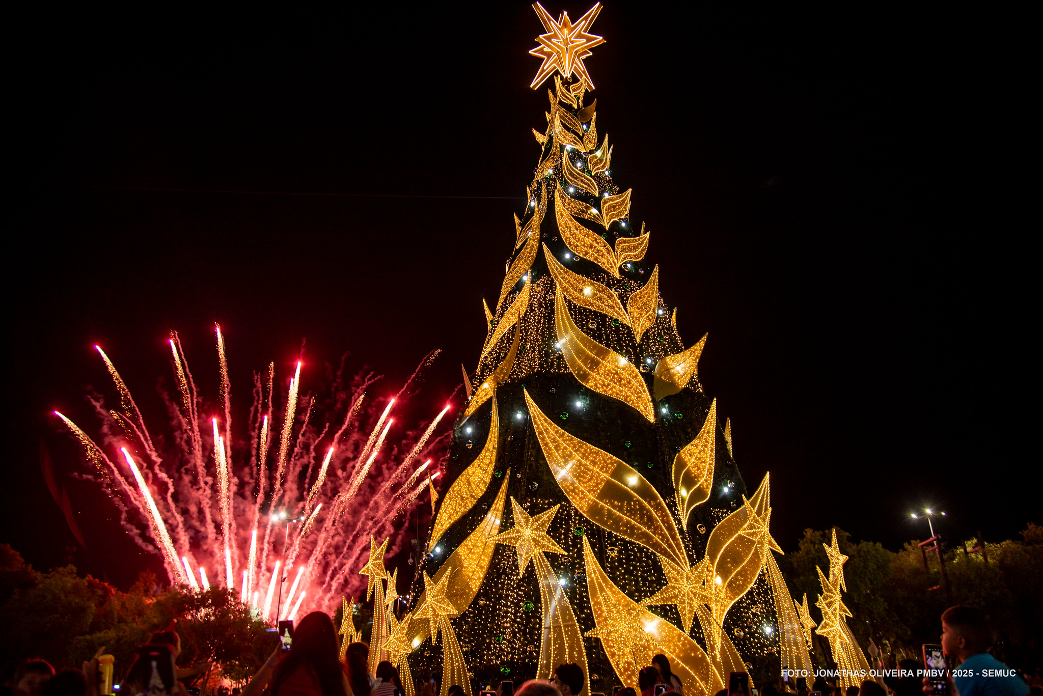 1763443090 867 Arvores de Natal iluminam Boa Vista em clima de uniao