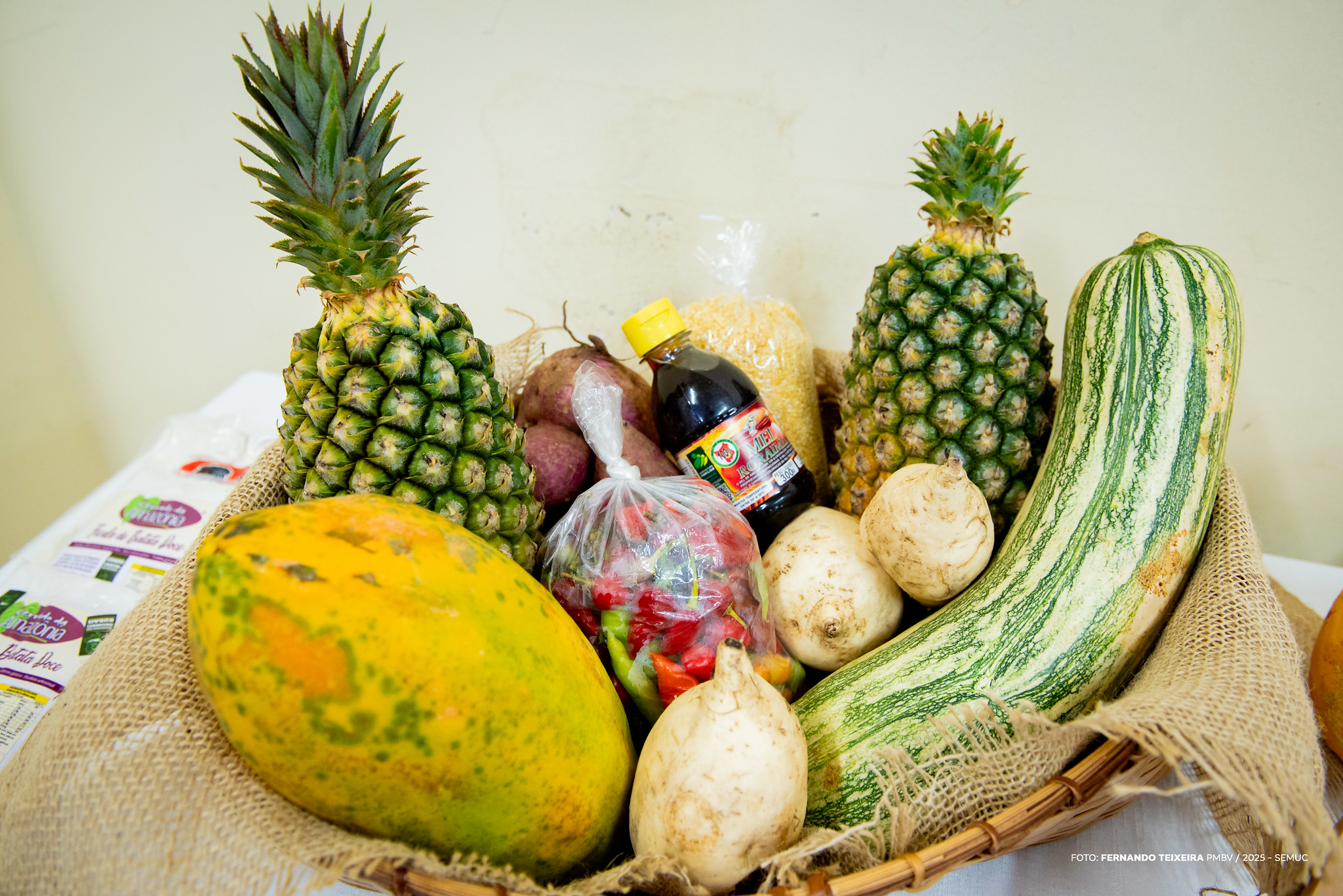 1764952837 353 Conferencia Municipal pelo Desenvolvimento Sustentavel do Campo