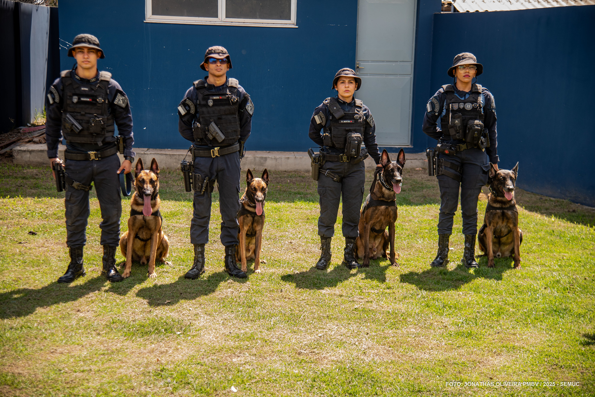 1765415821 156 Canil da Guarda Municipal reforca seguranca com caes treinados