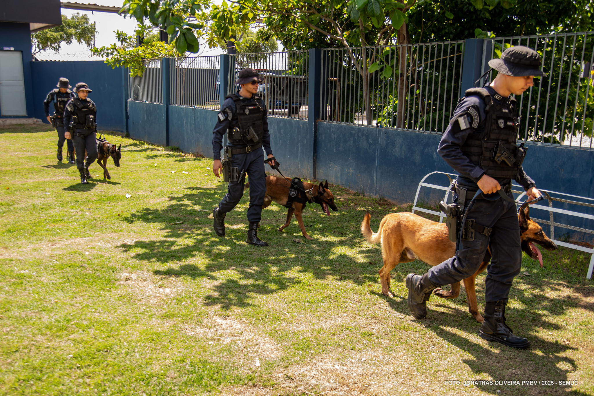 1765415821 339 Canil da Guarda Municipal reforca seguranca com caes treinados