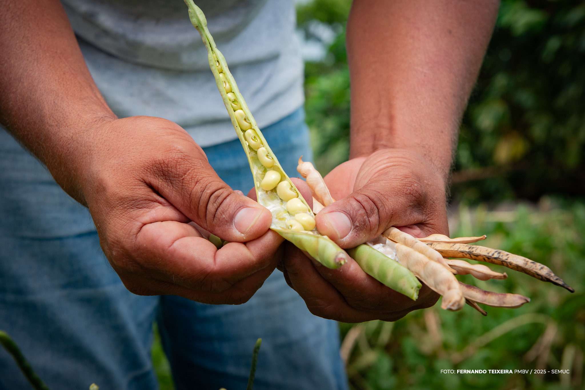 1767745258 538 Boa Vista investe R769 milhoes na agricultura familiar e inovacao