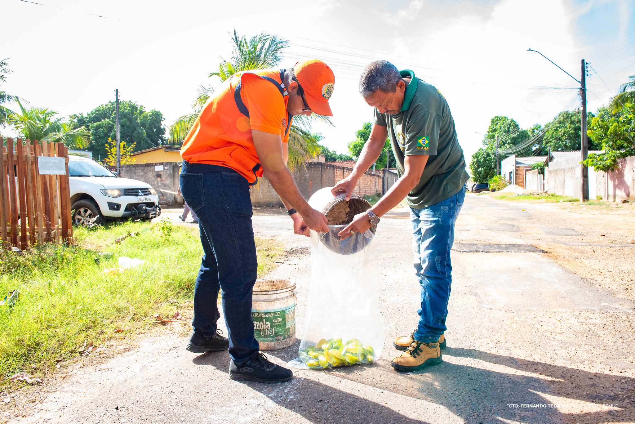 1769106178 502 DCM e MAPA unem forcas contra mosca da carambola em Boa Vista