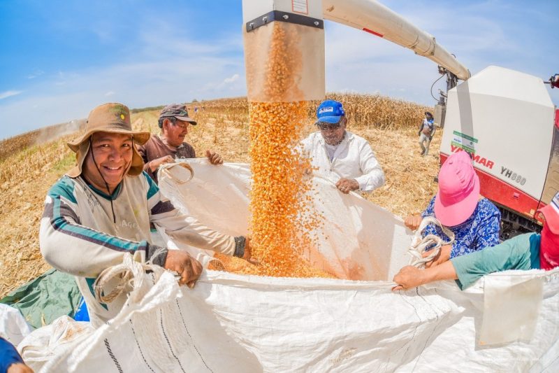 Boa Vista investe R$76,9 milhões na agricultura familiar e inovação 1 54826297740 499de06bc8 k