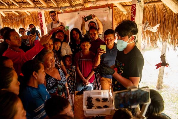 Aderr amplia ações de vigilância contra zoonoses em comunidades indígenas de Roraima 3 Monitoramento de zoonoses 2