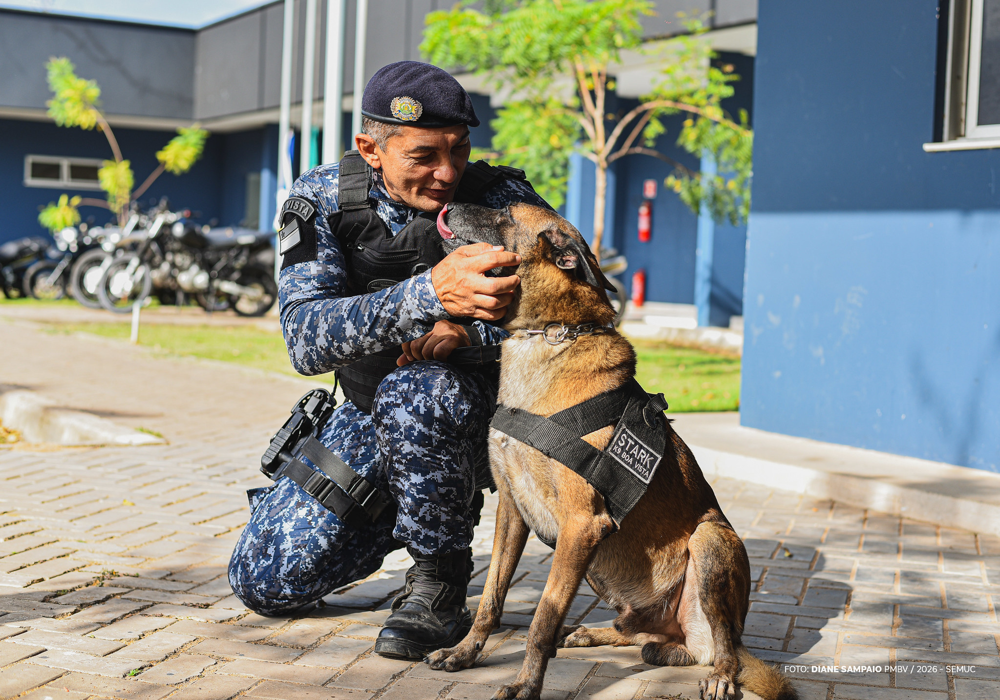 1770222114 34 Luke e Stark caes da GCM aposentam se apos sete anos