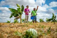 55093677323 fe68555d15 k