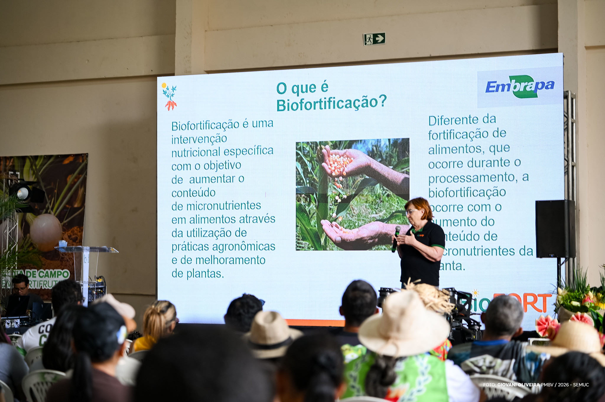 1774687981 359 4a edicao do Dia de Campo em Hortifruti mostra tecnicas