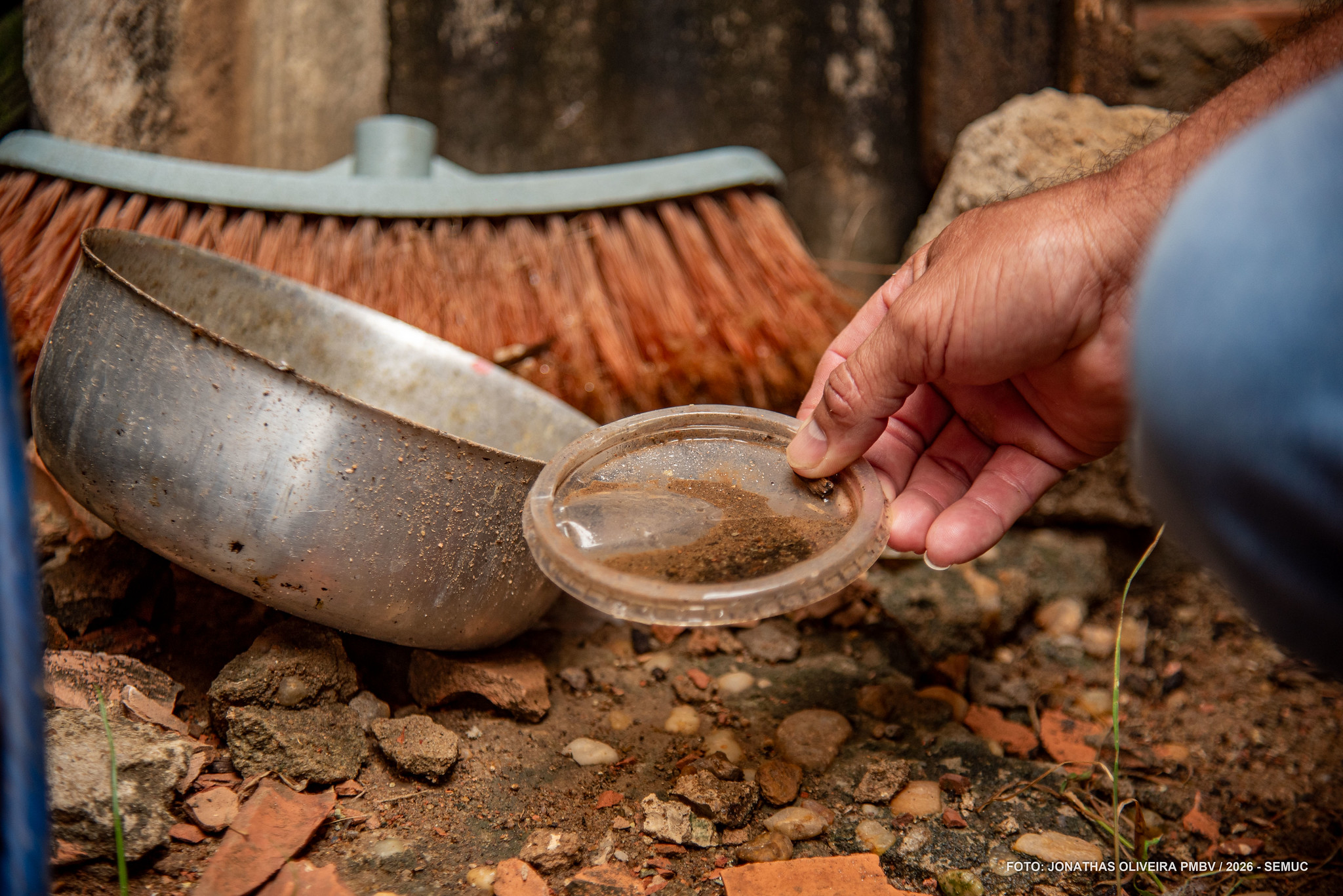 1774716912 100 Boa Vista mobiliza mutirao contra Aedes com visitas domiciliares