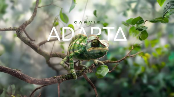 Adapta desenvolve um ecossistema de softwares flexíveis para PMEs