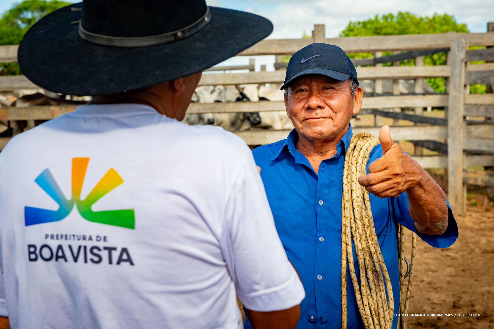 1775614322 447 Prefeitura vacina rebanho indigena contra brucelose em 17 comunidades