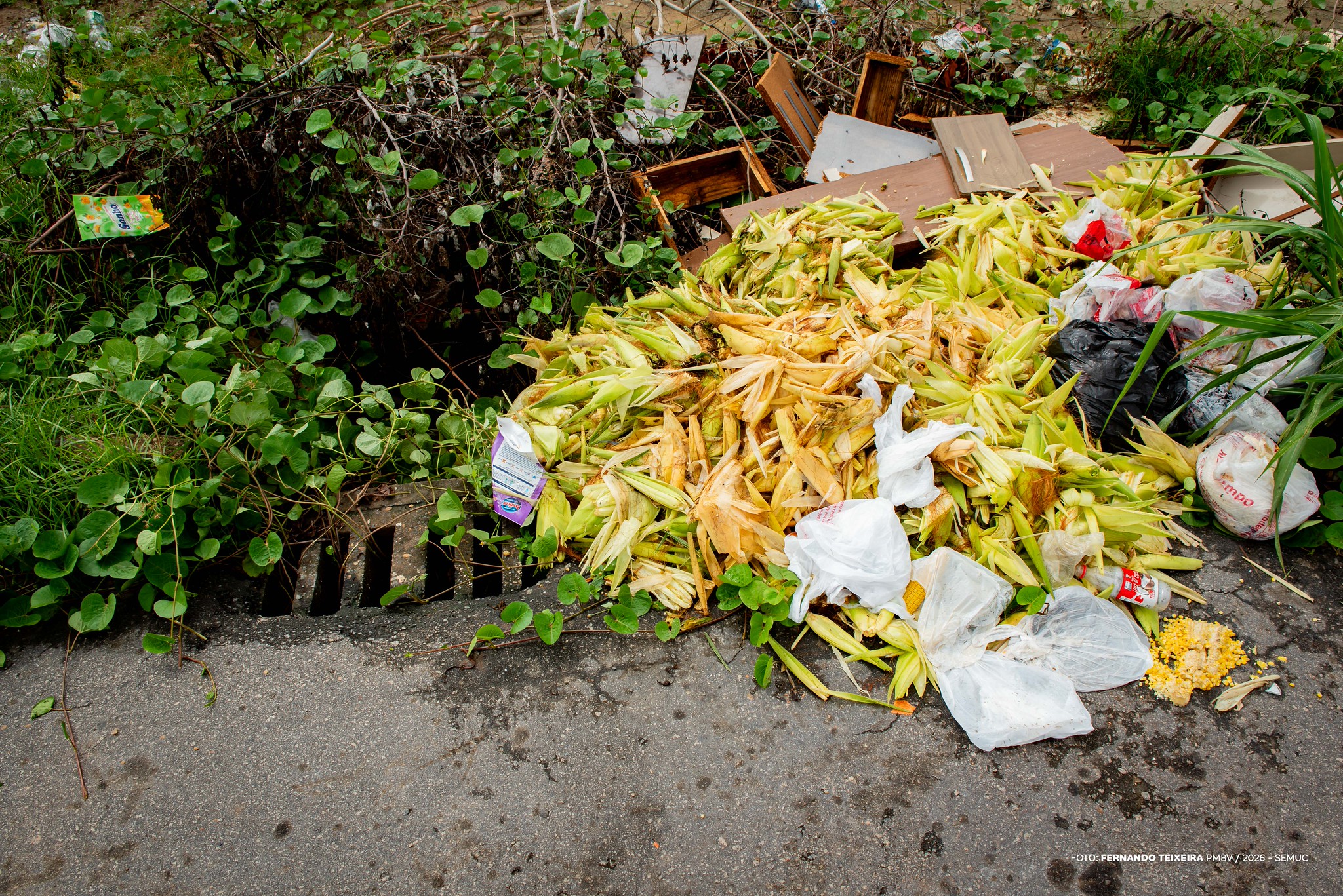 1776989092 656 Boa Vista intensifica mutiroes de limpeza contra descarte irregular