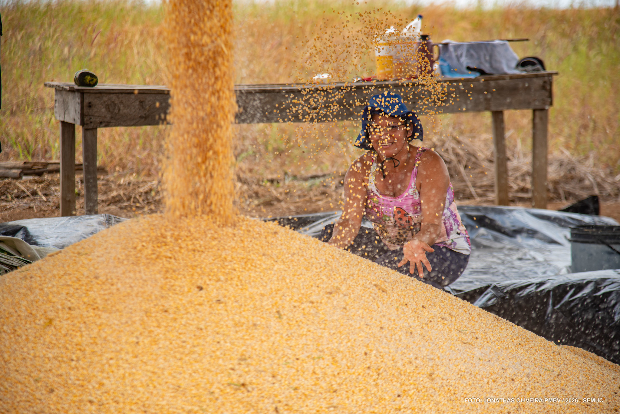1790285448 214 Colheita de milho indigena celebra avanco na producao agricola