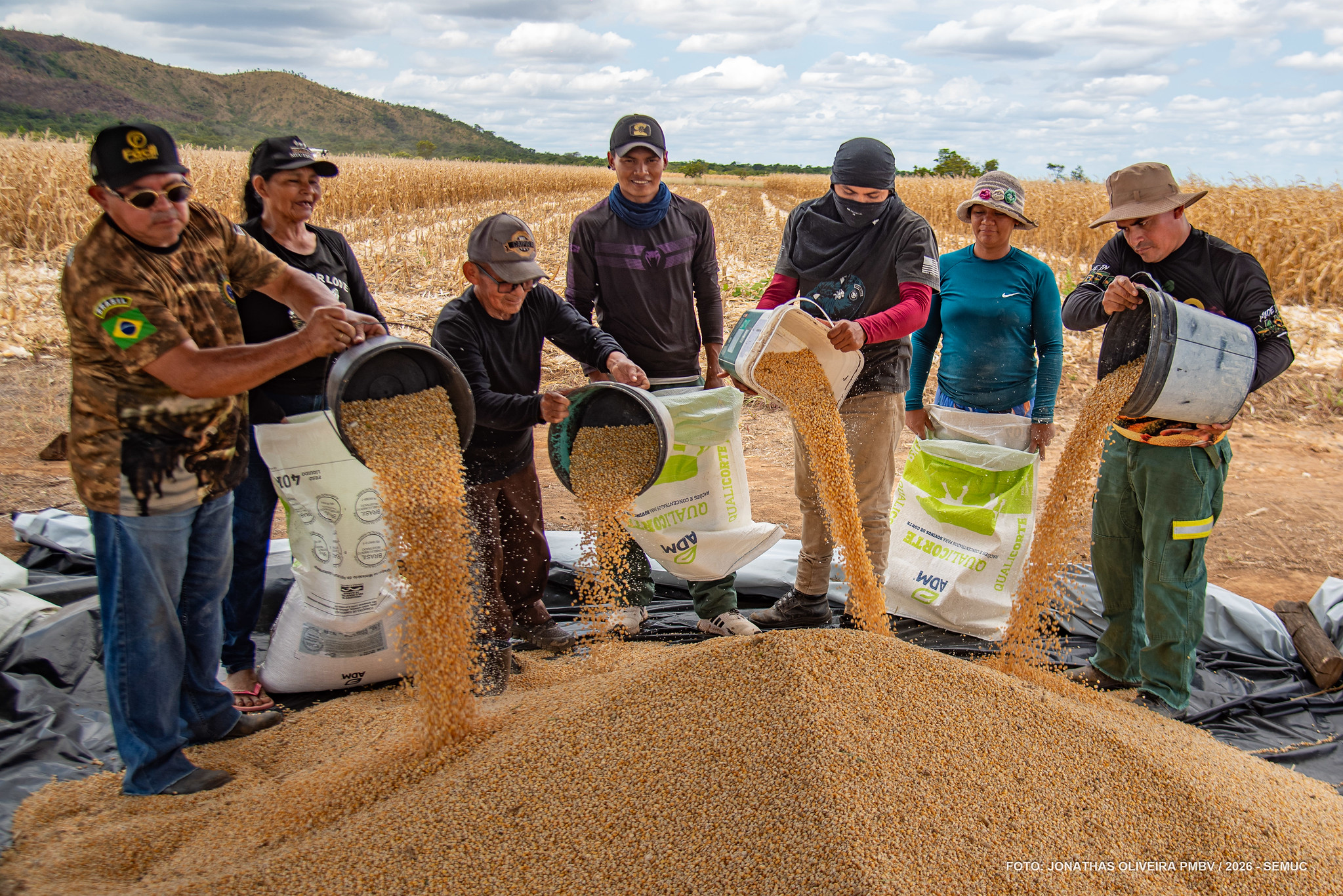 1790285449 264 Colheita de milho indigena celebra avanco na producao agricola