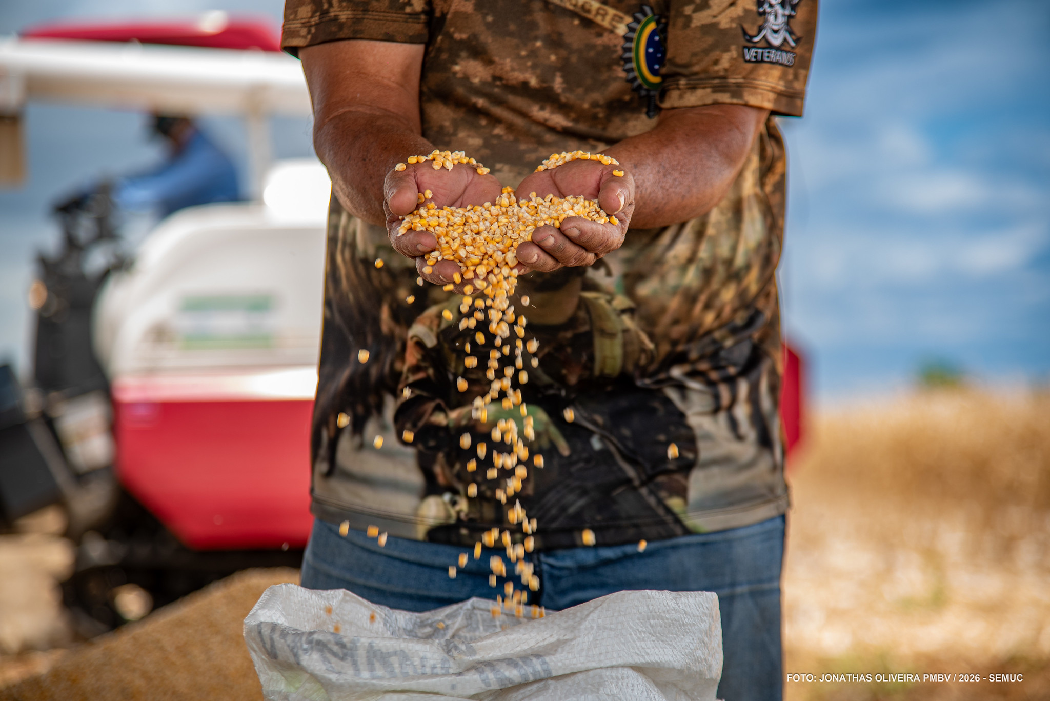 1790285449 449 Colheita de milho indigena celebra avanco na producao agricola