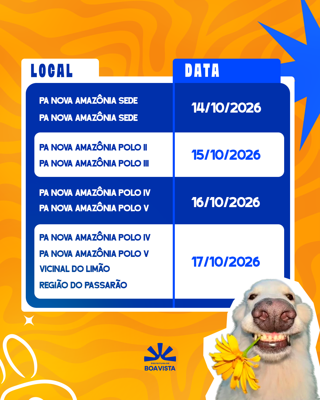 Campanha antirrábica da Prefeitura alcança áreas rurais de Boa Vista 3 Campanha antirrabica da Prefeitura alcanca areas rurais de Boa Vista