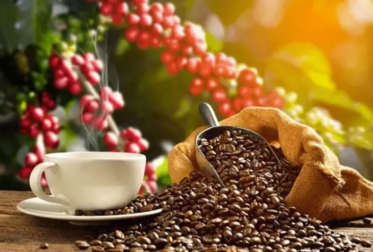 73ea8ab20a0252024bef5ae372e74562