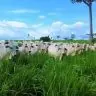 79ef20287c6d6270bf6e0dcd98228239