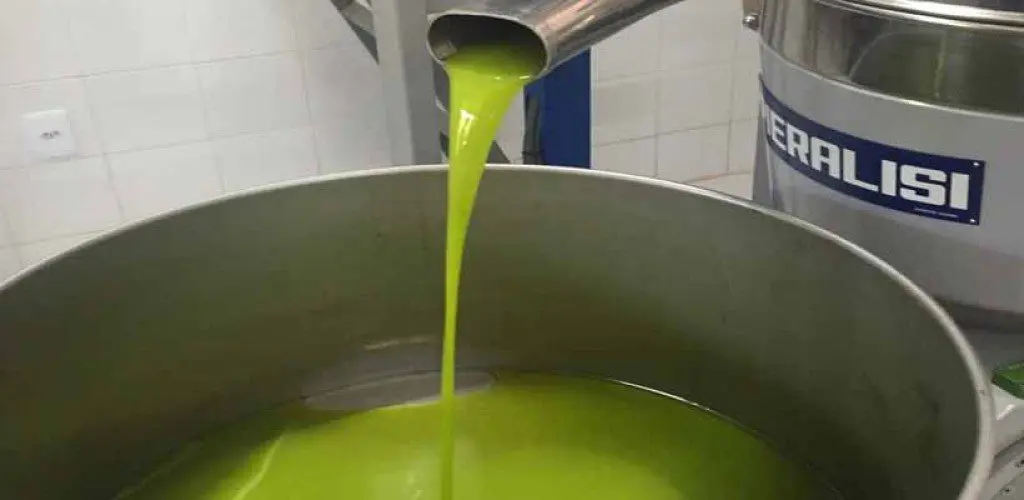 Projeto da Epamig incentiva produção de óleo de abacate em Minas 1 a9ebd2a1f76b6ba5da6a587ff99008ba