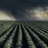 945e87663aa065a6785867cfab6f3172