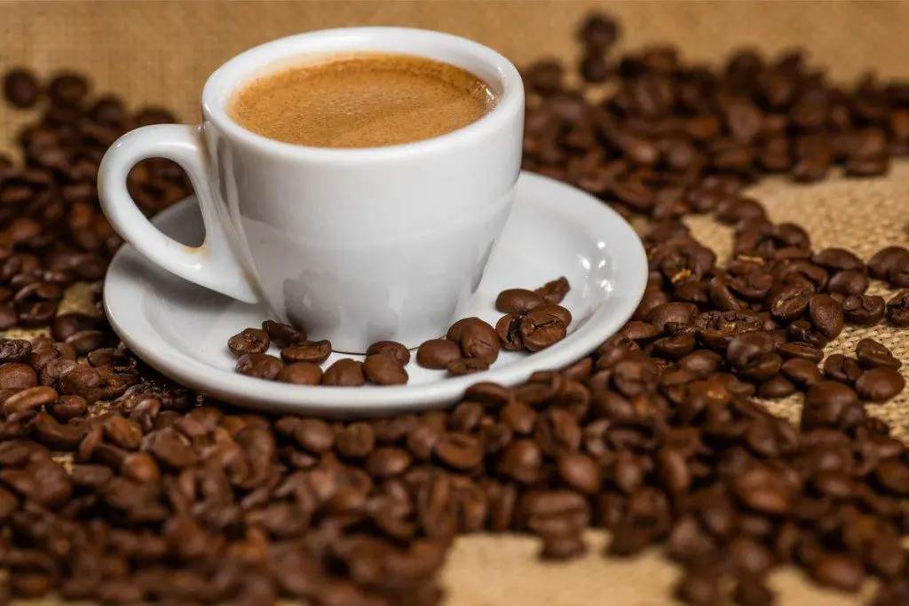 Abertas inscrições para o Prêmio CNA Brasil Artesanal 2024 de cafés especiais 1 c97439bff0e19e916d34d35a8bc2d811