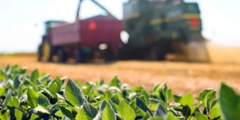 ce7eea6b6fbb9f780de473630878429e