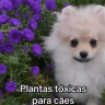 a7bb2e7680688e4bc99c38265aa65edb