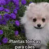 a7bb2e7680688e4bc99c38265aa65edb
