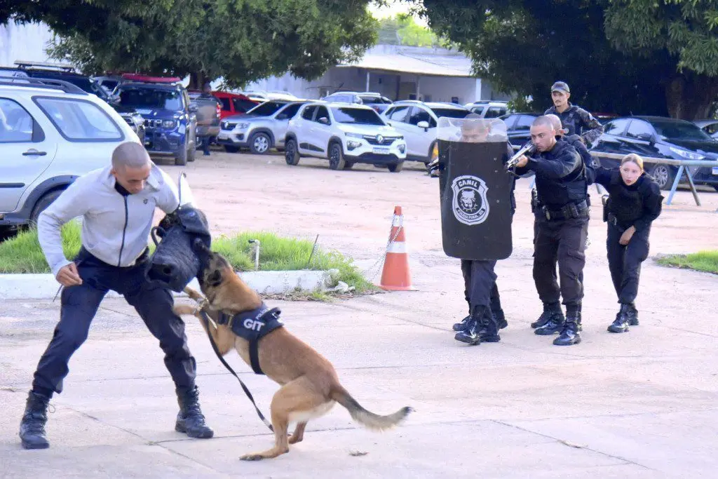 Canil da Polícia Penal é fortalecido com a formação de primeiros condutores de cães policiais 1 8f286c86e65d8282dfefd0ddfcbdc82f