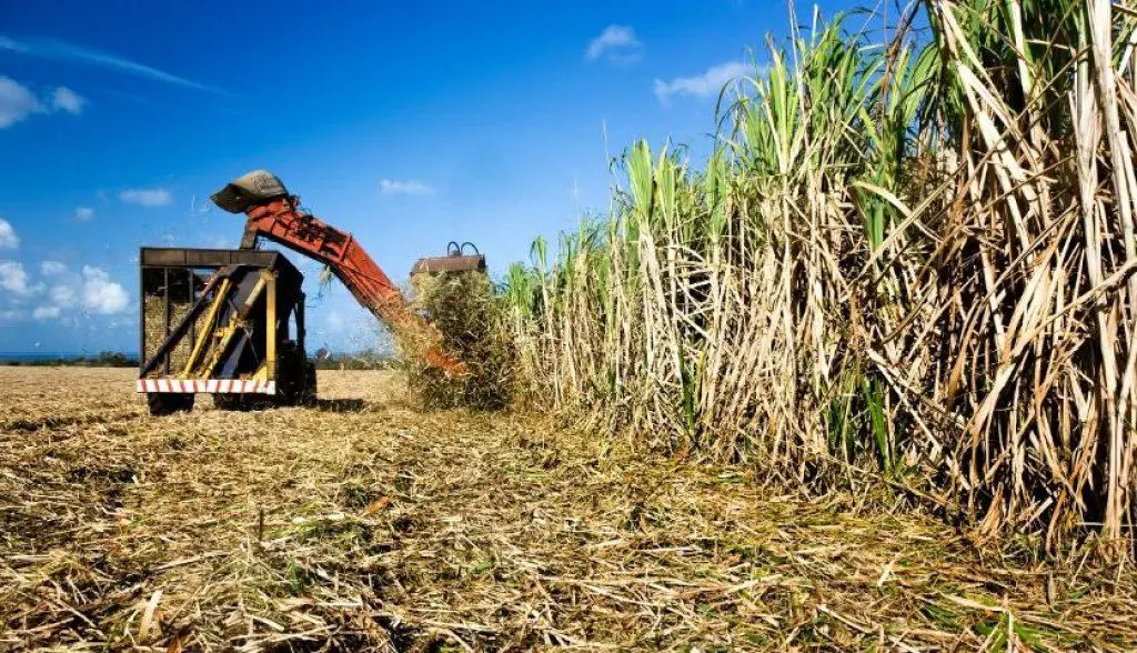 c4f61bd3fe4ec17f5343d3880fc6faf7