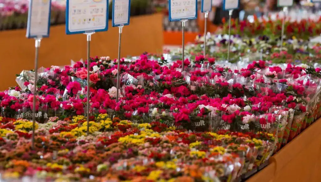 c50f48045b0c888840243ed83d86394c