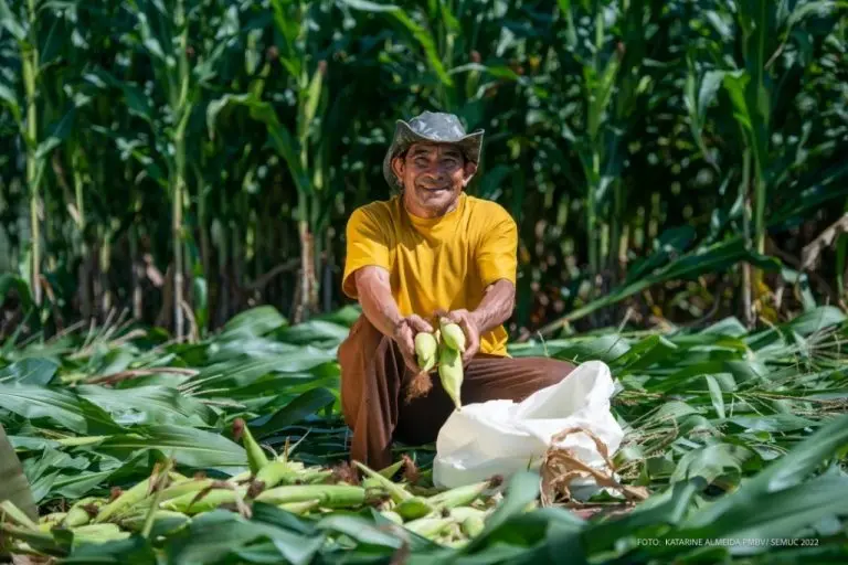 dc92968ccc87652ea382f2752b894ab8