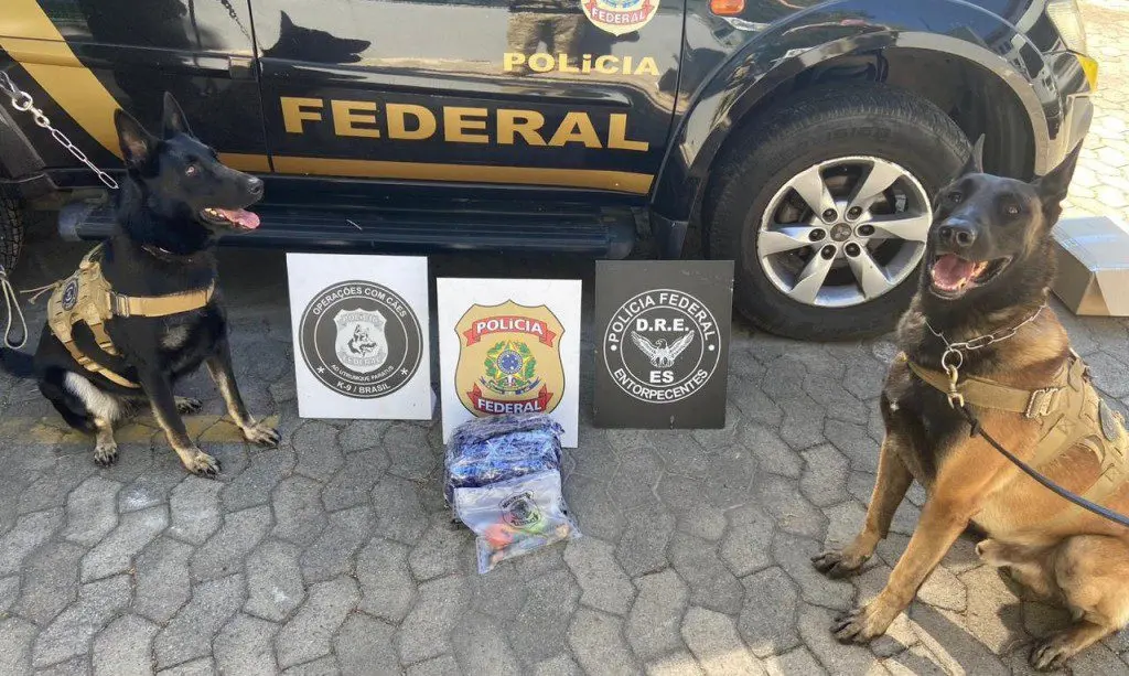 PF prende homem pelo crime de tráfico de drogas em Vila Velha/ES 1 f201528310b7444ce27c334e2207fac4