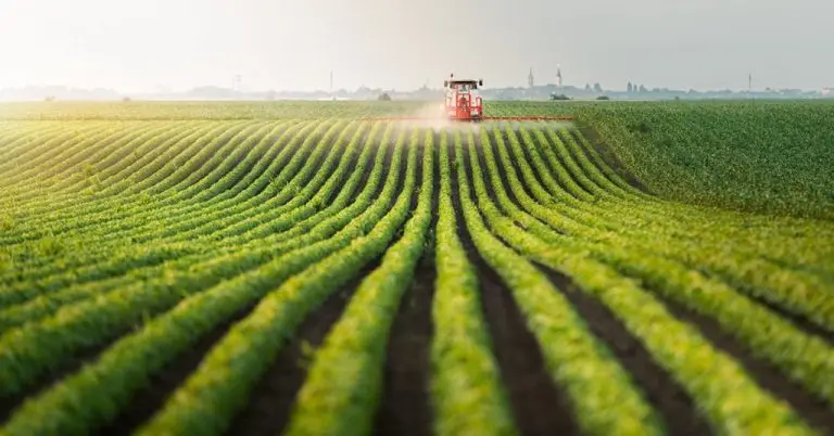 2279f38e919089bd6cd85beb94ed0f2a