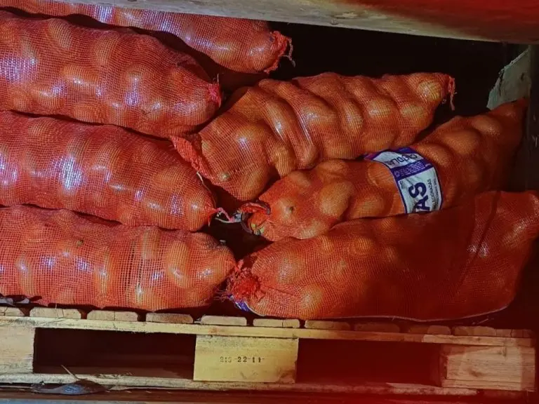 2288cc66d9c7a3ef1d8f1c28be3c5c4c