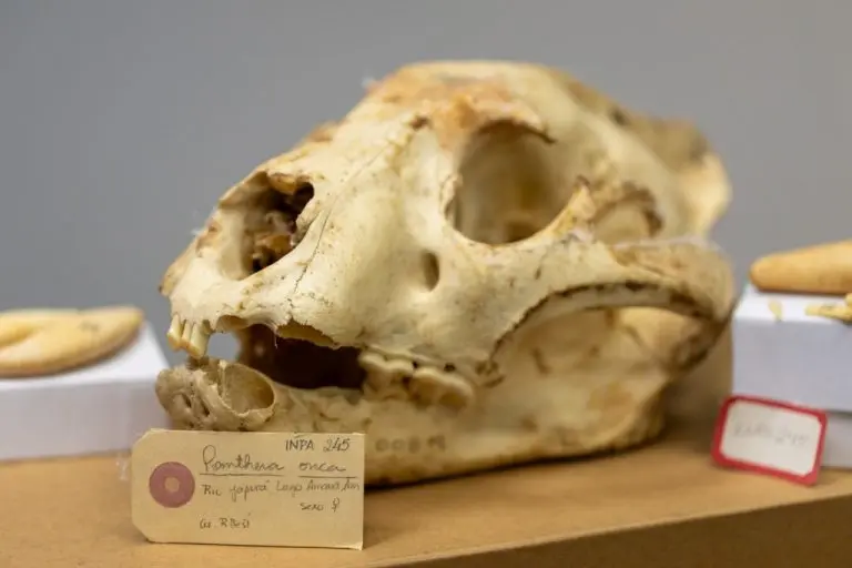 29fd3bc1acdcfcec5950a9d5b9d2db14