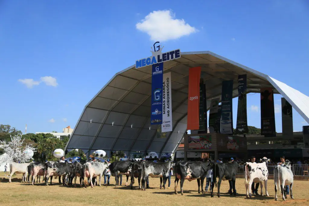 Em Minas segue até sábado a 19ª edição da Megaleite 1 43373372f47dc46d80d21fd7c7ccaf60