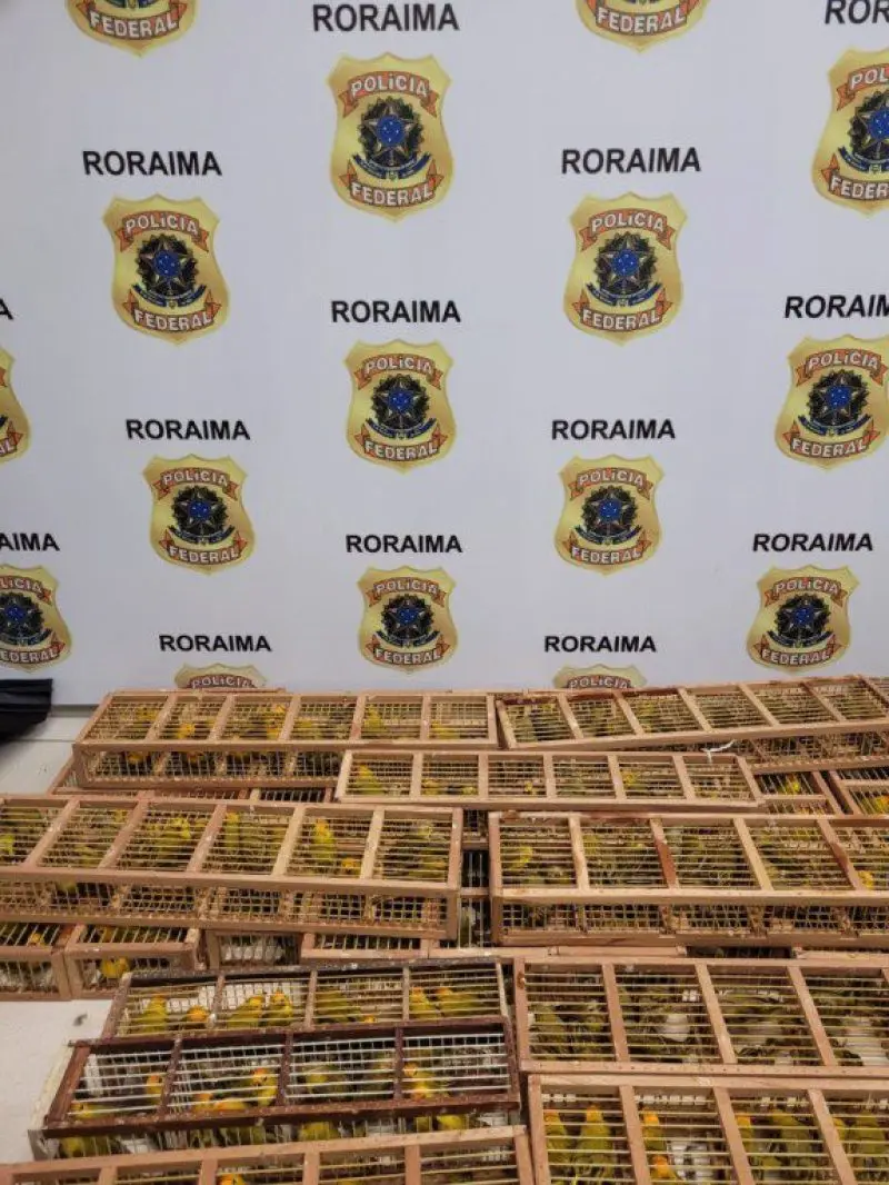 50c0ad98e8d7b59d14383d18b137ab07