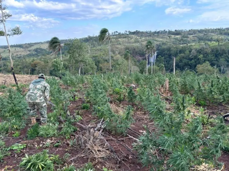 59166a0a3cd8cc303f32191998cfa4f9