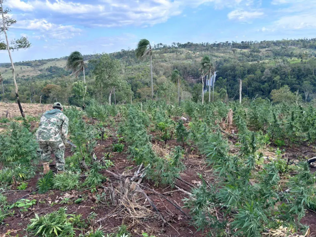 59166a0a3cd8cc303f32191998cfa4f9