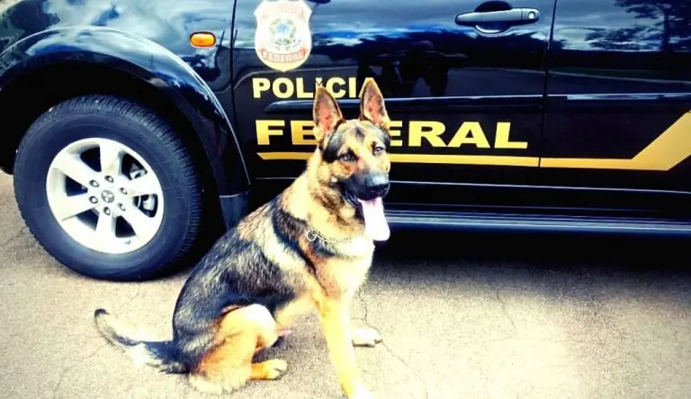 5f1ae9fca92c99fb3092f2745d758d70