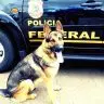 5f1ae9fca92c99fb3092f2745d758d70