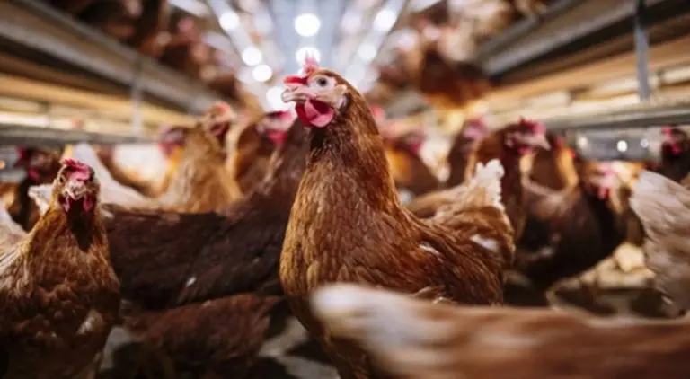 667e1b085346141517496fde31f2cc7c