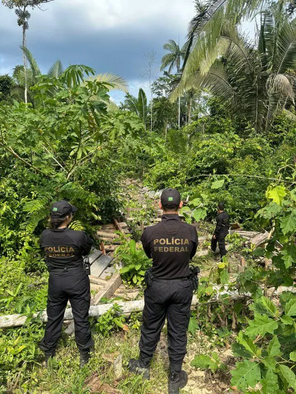 PF realiza ação contra crimes ambientais e de grilagem em RO 4 83b875d77195c41244f63ac035b738e6