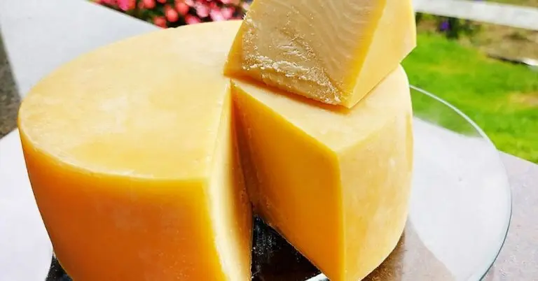 83e6cfbb934a5416c74fa1971b137c92