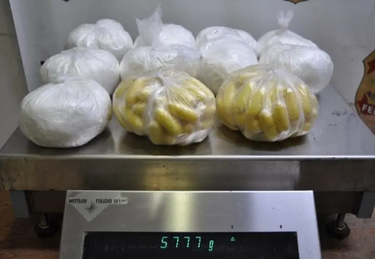 989472eda2678ccee88c05a5c267ef53